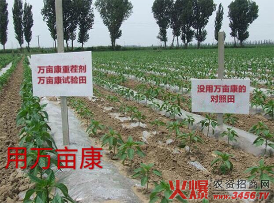 �����f��������Ƽ����޹�˾