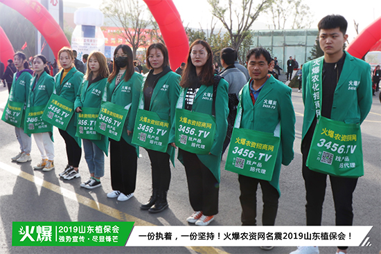 �����̣�Ч�����������r(n��ng)�Y���̾W(w��ng)��(qi��ng)�ݳ���2019ɽ�|ֲ������