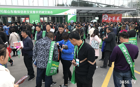 �����̣�Ч�����������r(n��ng)�Y���̾W(w��ng)��(qi��ng)�ݳ���2019ɽ�|ֲ������