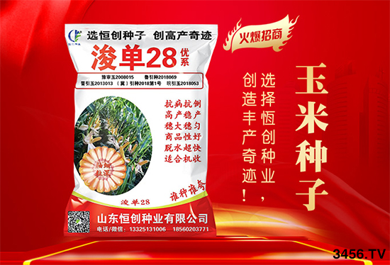 玉米購(gòu)種季來臨,對(duì)種子有什么顧慮?看看不一樣的選種技巧! 玉米購(gòu)種季來臨,對(duì)種子有什么顧慮?看看不一樣的選種技巧!