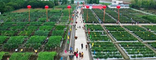 2020西部農(nóng)資博覽會照常舉辦!觀眾募集工作全面啟動! 2020西部農(nóng)資博覽會照常舉辦!觀眾募集工作全面啟動!