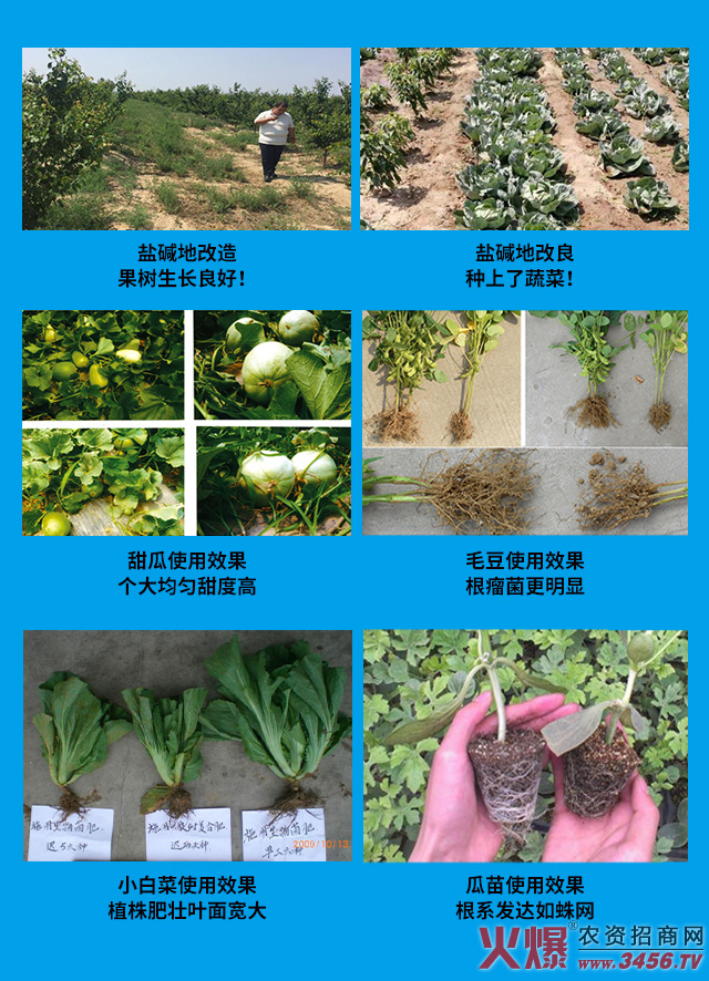 保羅蒂姆漢(濰坊)生物科技有限公司 保羅蒂姆漢(濰坊)生物科技有限公司