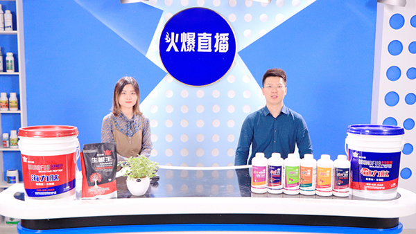 熱烈歡迎石佛園區(qū)運(yùn)營(yíng)中心魏主任一行蒞臨火爆網(wǎng)參觀指導(dǎo)! 熱烈歡迎石佛園區(qū)運(yùn)營(yíng)中心魏主任一行蒞臨火爆網(wǎng)參觀指導(dǎo)!