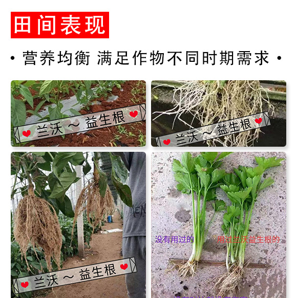 ������-�m���r(n��ng)�I(y��)