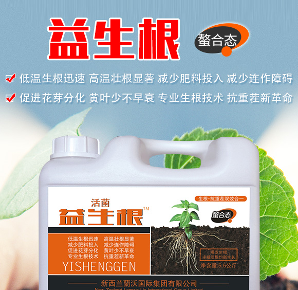 ������-�m���r(n��ng)�I(y��)