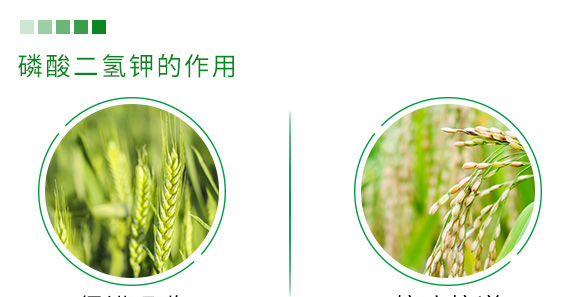 500g有機(jī)緩釋氮肥-瑞倍達(dá) 500g有機(jī)緩釋氮肥-瑞倍達(dá)