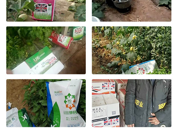 鑻卞浗鍗¤開澶紙鍖椾含錛夊啘涓氱鎶鏈夐檺鍏徃浜у搧_08.jpg 鑻卞浗鍗¤開澶紙鍖椾含錛夊啘涓氱鎶鏈夐檺鍏徃浜у搧_08.jpg