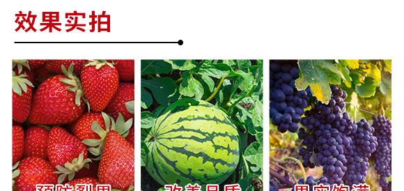 進(jìn)口果頓普蓓·優(yōu)鈣-功能性水溶葉面肥微肥-亞瑟夫 進(jìn)口果頓普蓓·優(yōu)鈣-功能性水溶葉面肥微肥-亞瑟夫