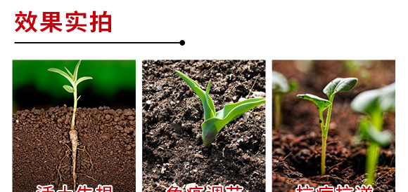 進口果頓普蓓特種肥料海藻素、生物刺-亞瑟夫 進口果頓普蓓特種肥料海藻素、生物刺-亞瑟夫