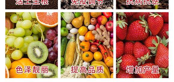 進口果頓普蓓特種肥料海藻素、生物刺-亞瑟夫 進口果頓普蓓特種肥料海藻素、生物刺-亞瑟夫