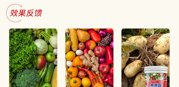 ������-����S