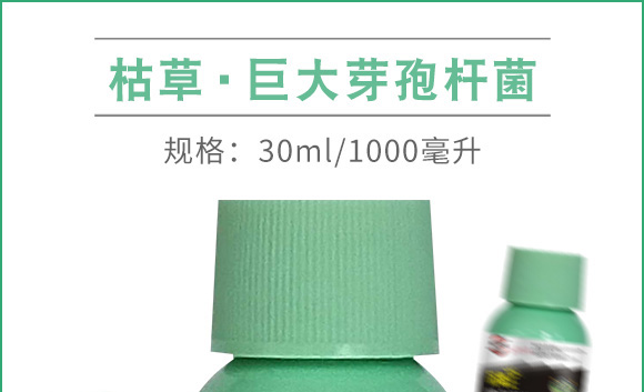 �ݲݡ�ѿ�ߗU��-������-������