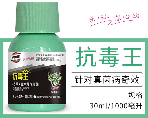 �ݲݡ�ѿ�ߗU��-������-������