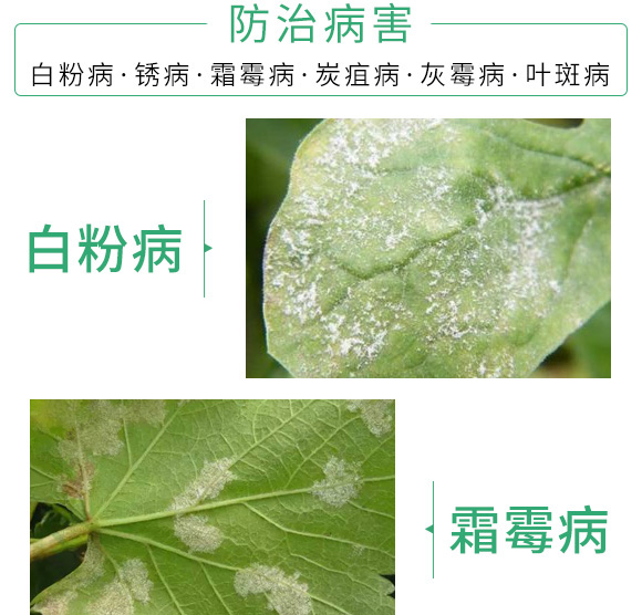 �ݲݡ�ѿ�ߗU��-������-������