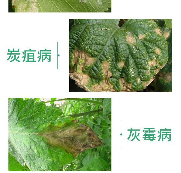 �ݲݡ�ѿ�ߗU��-������-������