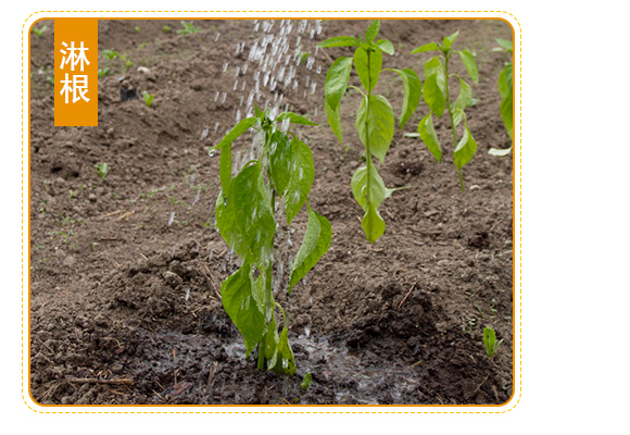 灞變笢椴查箯鐢熸佺鎶鏈夐檺鍏徃浜у搧璇︽儏欏?_07.jpg 灞變笢椴查箯鐢熸佺鎶鏈夐檺鍏徃浜у搧璇︽儏欏?_07.jpg