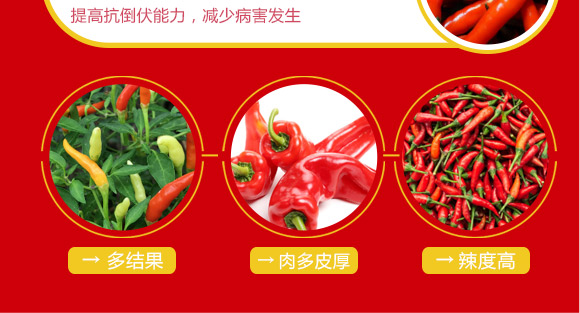 婕渤甯?jìng)鍌呯墝鍐滀笟绉戞妧鏈夐檺鍏徃2_06.jpg 婕渤甯?jìng)鍌呯墝鍐滀笟绉戞妧鏈夐檺鍏徃2_06.jpg