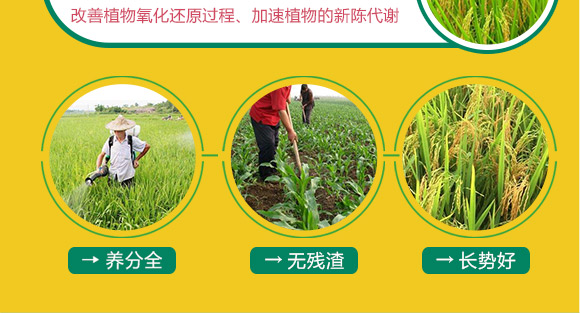 婕渤甯?jìng)鍌呯墝鍐滀笟绉戞妧鏈夐檺鍏徃3_06.jpg 婕渤甯?jìng)鍌呯墝鍐滀笟绉戞妧鏈夐檺鍏徃3_06.jpg