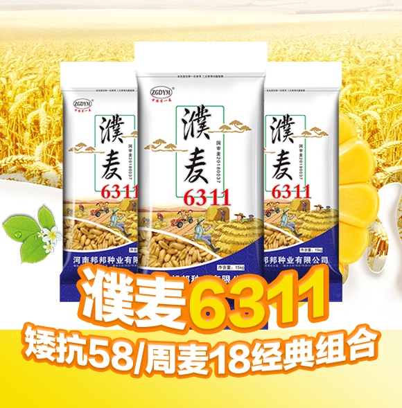 濮麥6311-小麥種子-邦邦種業(yè) 濮麥6311-小麥種子-邦邦種業(yè)