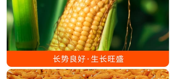 �������28-10-12���tɫ��-���S