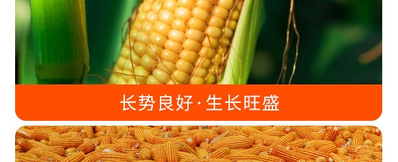 �������28-10-12���{(l��n)ɫ��-���S