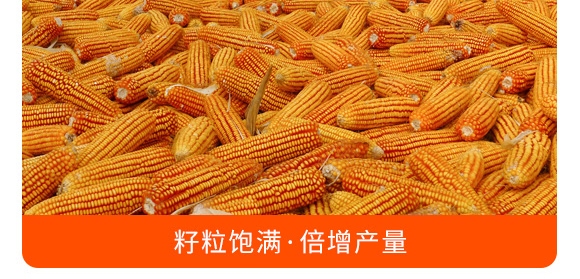 �������28-10-12���{(l��n)ɫ��-���S