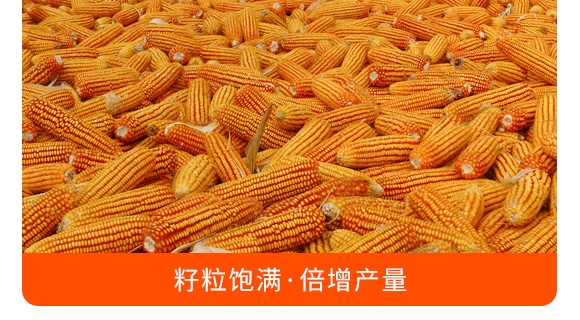 �������28-10-12���Gɫ��-���S