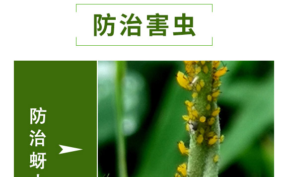 �滯���e-�滯���h(yu��n)