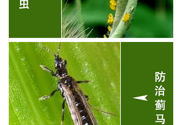 �滯���e-�滯���h(yu��n)