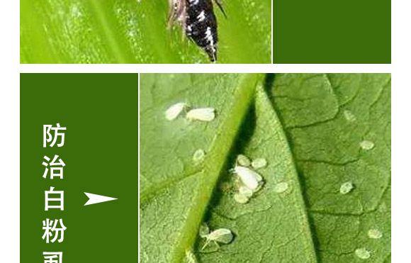 �滯���e-�滯���h(yu��n)