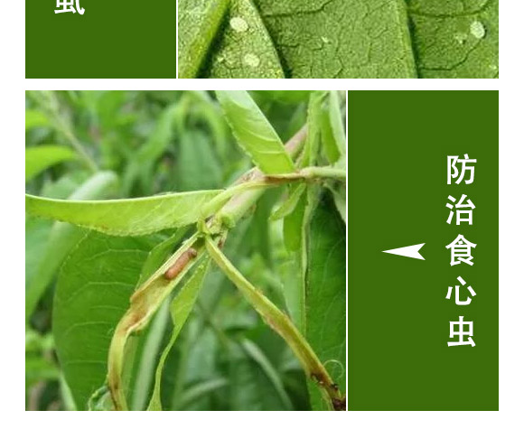 �滯���e-�滯���h(yu��n)