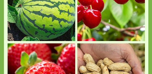 含腐植酸水溶肥料(生根膨果型)-俊果-中農(nóng)可信 含腐植酸水溶肥料(生根膨果型)-俊果-中農(nóng)可信