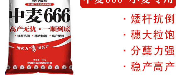 中麥666-麥種貴族-龍大種業(yè) 中麥666-麥種貴族-龍大種業(yè)