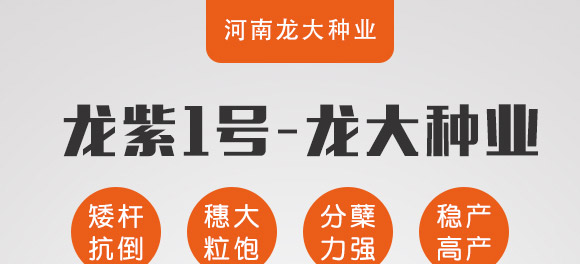 ����1̖-�����F��-����N�I(y��)