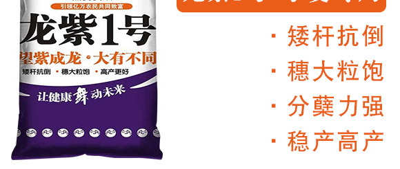 ����1̖-�����F��-����N�I(y��)