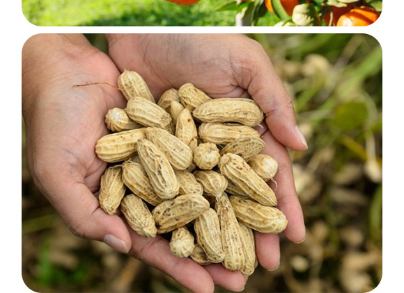 �S������������40-0-0-�����-�F�컯