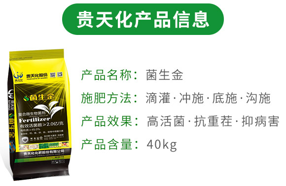 �ͺ�΢�������-������2�|/�ˣ�-�F�컯