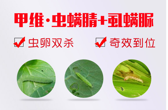 �׾S���x����-ʭ����-�����r(n��ng)��