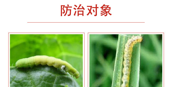 �׾S���x����-ʭ����-�����r(n��ng)��