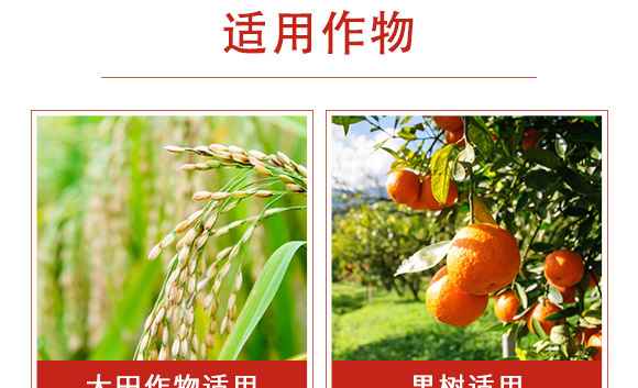 �׾S���x����-ʭ����-�����r(n��ng)��