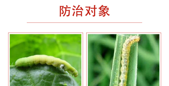 �׾S�����x��-ʭ����-����