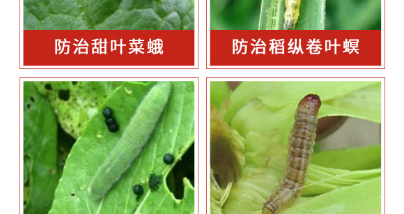 �׾S�����x��-ʭ����-����