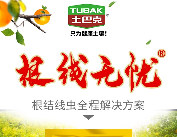 �����o�n-ʿ�Ϳ�-�S��