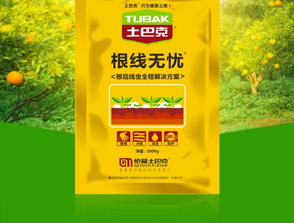 �����o�n-ʿ�Ϳ�-�S��