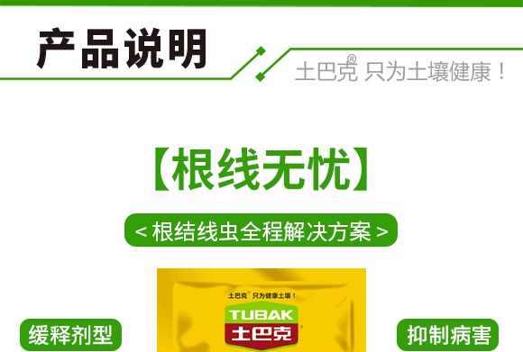 �����o�n-ʿ�Ϳ�-�S��