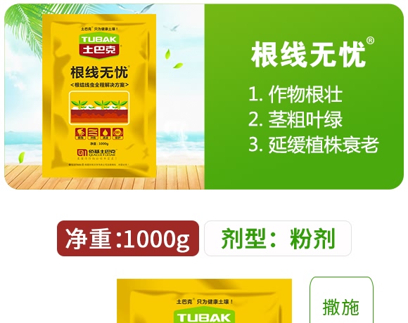 �����o�n-ʿ�Ϳ�-�S��