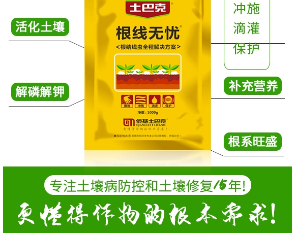 �����o�n-ʿ�Ϳ�-�S��