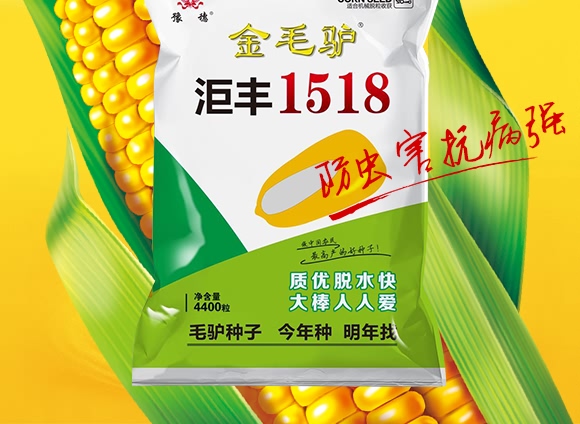 金毛驢匯豐1518-玉米種子-豫穗農(nóng)業(yè) 金毛驢匯豐1518-玉米種子-豫穗農(nóng)業(yè)