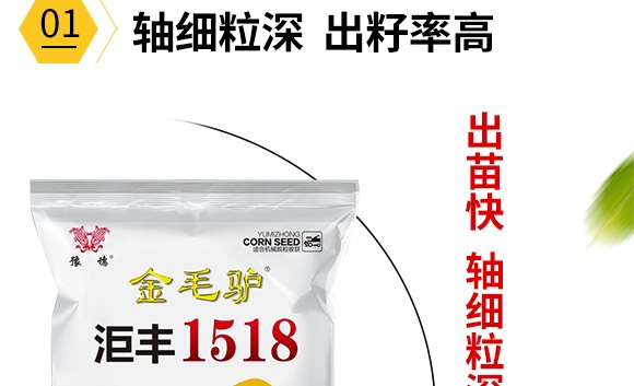 金毛驢匯豐1518-玉米種子-豫穗農(nóng)業(yè) 金毛驢匯豐1518-玉米種子-豫穗農(nóng)業(yè)