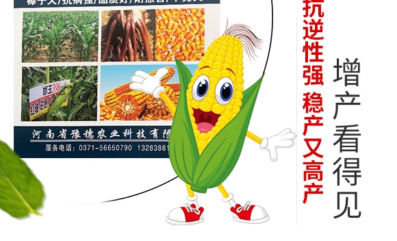 ����398-���׷N��-ԥ���r(n��ng)�I(y��)